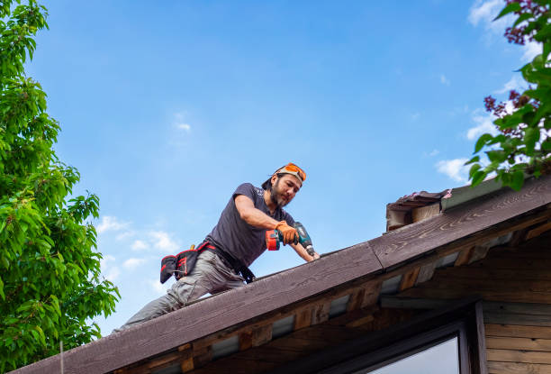 Best 4 Ply Roofing  in Olympia, SC